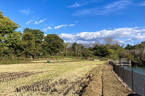 中島池のイメージ