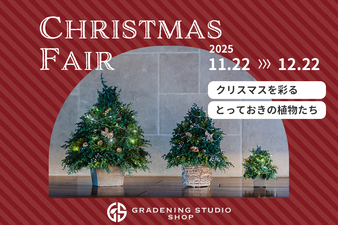 SHOPクリスマスフェア