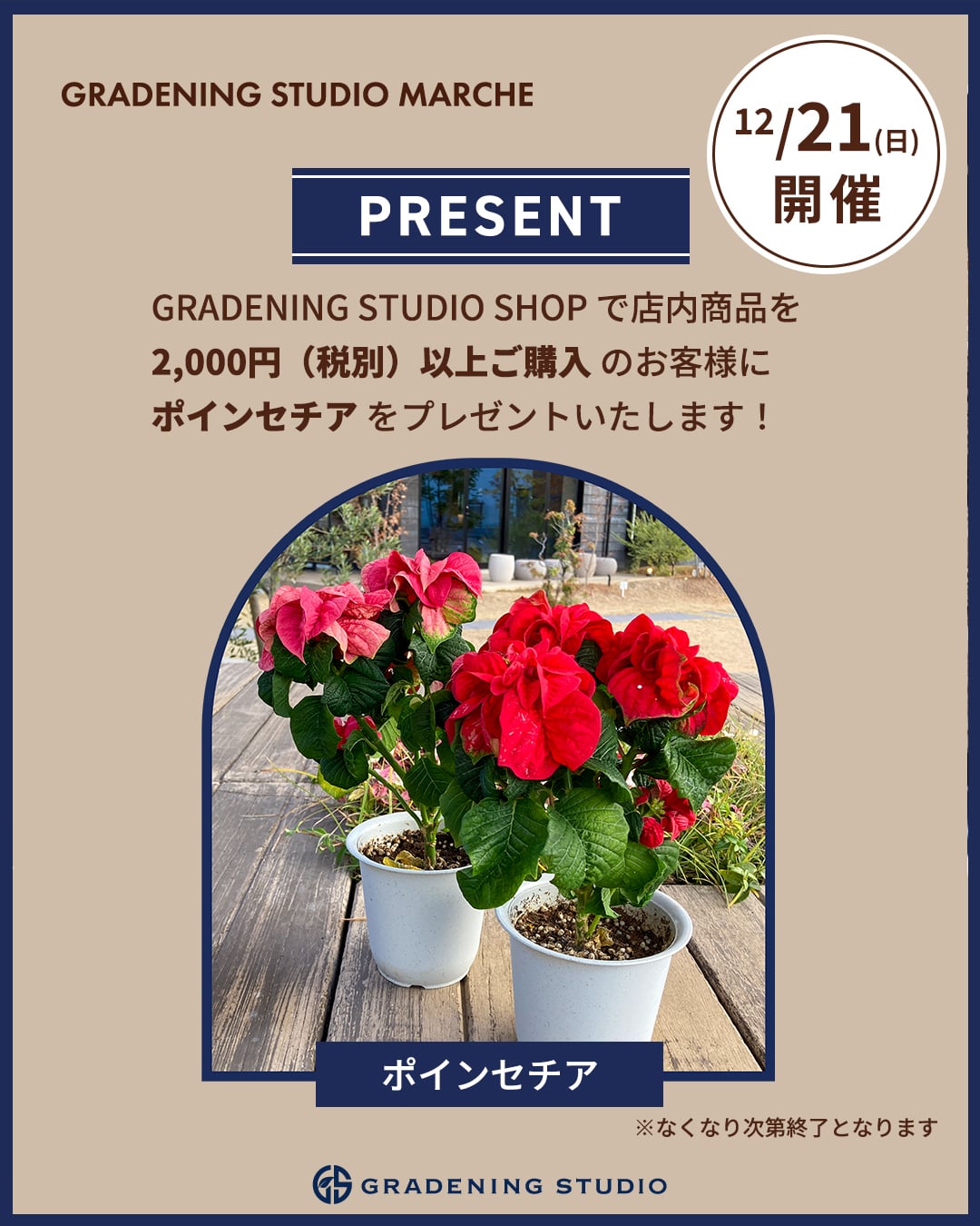 スイーツマルシェ限定プレゼント