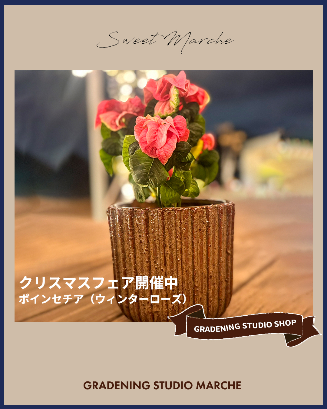 ウィンターローズ