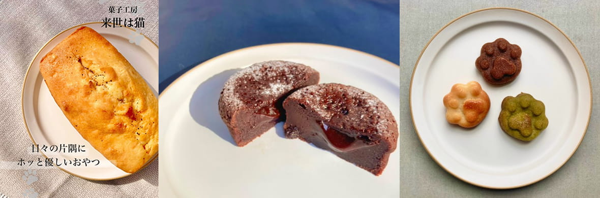 来世は猫のイメージ