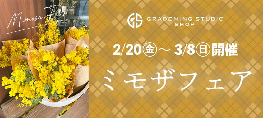 ミモザフェアのイメージ