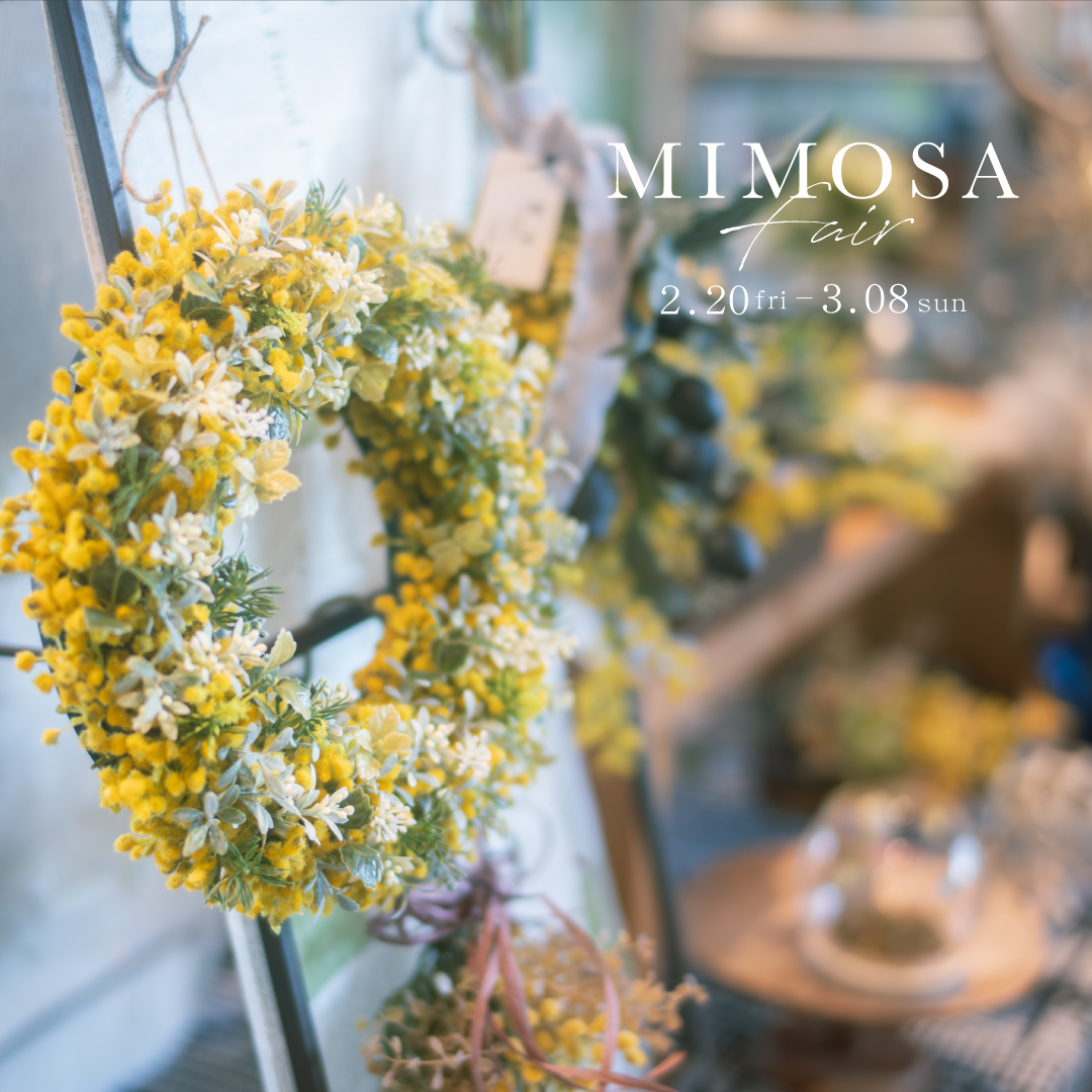 ミモザフェア